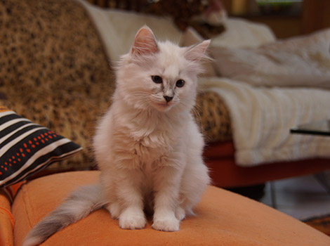 Sophie am 6.8.2014